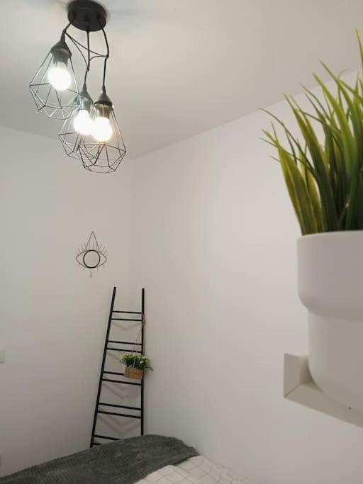 Precioso Apartamento Con Terraza En Piso Superior Los Realejos Luaran gambar